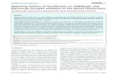 Opposing Actions of Sevoflurane on GABAergic and ......Citation: Eckle V-S, Hauser S, Drexler B, Antkowiak B, Grasshoff C (2013) Opposing Actions of Sevoflurane on GABAergic and Glycinergic