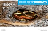 NOVEMBER/DECEMBER 2015 Opossums | Phytotoxicity ...pestpromagazine.com/dl/issues/Nov-Dec_2015_web.pdfOpossums In Florida 16 Understanding Phytotoxicity 18 Landscape Mulches And Associated