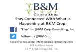 Stay Connected With What Is Happening at B&M Crop · Immobilization • A temporary reduction in the amount of plant-available N can occur from immobilization (tie-up) of soil N.