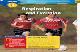 Chapter 8: Respiration and Excretion · 2 The Excretory System Lab Kidney Structure Lab Simulating the Abdominal Thrust Maneuver ... functioning, and your body is adapted to meet
