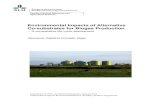 Environmental Impacts of Alternative Co-substrates for ...stud.epsilon.slu.se/4785/1/croxatto_vega_g_120910.pdf · Environmental Impacts of Alternative Co-substrates for ... strategy
