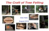 The Craft of Tree Felling - tnvalleywoodclub.orgtnvalleywoodclub.org/articles/The Craft of Tree Felling Presentation v2.pdfFelling Mechanics • Height of holding wood -- stump shot