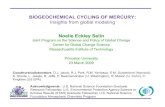 BIOGEOCHEMICAL CYCLING OF MERCURY: Insights from global ...selingroup.scripts.mit.edu/wp/presentations/princeton_geo_selin.pdf · BIOGEOCHEMICAL CYCLING OF MERCURY: Insights from