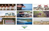 2015/2016 Annual Report - southerntasmania.com.au€¦ · 2 Annual Report 2015/2016 | Destination Southern Tasmania ⊲ Gordon Dam Photography Rob Burnett welcome The 2015/2016 financial
