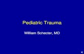 Pediatric Trauma · Title: Pediatric Trauma Author: mlrd Created Date: 9/23/2011 8:24:47 AM