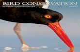BIRD CONSERVATIONabcbirds.org/wp-content/uploads/2015/06/MagSpring12.pdf · Fred Bodsworth, Last of the Curlews. bird conservation • sPrinG 2012 3 Bird Conservation is the magazine