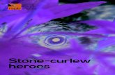 Stone-curlew heroes Booklet_ONLINE... · 2017. 6. 27. · Stone-curlew heroes 3 Foreword They found stone-curlews hanging on in the last remaining areas of extensive short grassland,