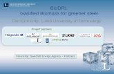 BioDRI. Gasified Biomass for greener steel · 2016. 11. 7. · • BioDRI is technically possible. Up to 1 Mton/year Fossil CO 2 is eliminated for the northern case . • However,
