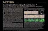 Intestinal epithelial tuft cells initiate type 2 mucosal ...maizelslab.org/wp-content/uploads/2018/01/Gerbe-2016-Nature-Com… · initiating mucosal type 2 immunity to helminth infection.