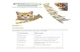 Don't let the cat out - Worldwide School of English · Below are ten common examples of animal idioms. Choose one of the following animals to complete the idioms below. goat whale