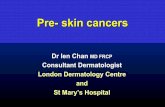 London Dermatology Centre and St Mary’s Hospitaconnect-bma.public-i.tv/document/Ien_Chen_presentation.pdf · London Dermatology Centre and St Mary’s Hospita Pre- skin cancers