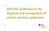 2019 ESC Guidelines on Chronic Coronary Syndromes. · 2019 ESC Guidelines on the diagnosis and management of chronic coronary syndromes ©