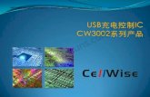 PowerWise PPT Template - dianyuan.com · 兼容多种USB充电标准 兼容多种USB端口类型 USB充电标准：BC1.2 中国电信业标准：YD/T 1591-2009 专用端口标准：Apple，三星
