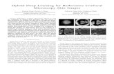Hybrid Deep Learning for Reﬂectance Confocal Microscopy ...parneetk.github.io/publications/Kaur16a.pdf · Hybrid Deep Learning for Reﬂectance Confocal Microscopy Skin Images Parneet