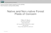 Native and Non-native Forest Pests of Concern · 2016. 9. 15. · Native and Non-native Forest Pests of Concern Tiffany R. Mauro Pest Survey Specialist USDA-APHIS-PPQ 350 Corporate