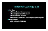 Vertebrate Zoology Lab - Montegraphia...Microsoft PowerPoint - Lab 1 - Intro to Ohio Fish - Taxonomy and Morphology.pptx Author jjmontem Created Date 7/21/2009 12:40:10 PM ...
