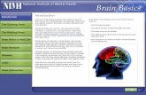 Introduction - Milwaukee · 2019. 8. 8. · Welcome. Brain Basics provides information on how the . brain works, how mental illnesses are disorders of the brain, and ongoing research