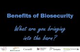 Benefits of Biosecurity What are you bringing into the barn? · covers, coveralls, hairnets, gloves, masks etc. 2. Get Dirty –Sprinkle GloGerm™ dust on PPE 3. Doffing –Take