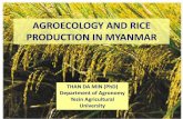 AGROECOLOGY AND RICE PRODUCTION OF MYANMARali-sea.org/wp-content/uploads/AGROECOLOGY-AND-RICE_YAU_Jan17.pdf(4) efficient and sustainable management of natural resources, (5) postharvest
