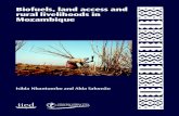 Biofuels, land access and rurallivelihoods in Mozambique · Biofuels, land access and rural livelihoods in Mozambique Isilda Nhantumbo and Alda Salomão Series editor: Lorenzo Cotula