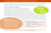 Understanding Venture Capital · 2020. 8. 19. · Understanding Venture Capital A couple examples are: • Information technology companies such as Facebook (social media platform)