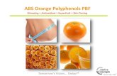 ABS Orange Polyphenols PBF - Active Concepts, LLCactiveconceptsllc.com/wp-content/uploads/2015/02/Presentation6.pdf · ABS Orange Polyphenols PBF Technical Information: Product Code: