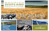 NOURISH SCOTLAND MAGAZINE · business skills) or linking local food producers with community food initiatives. ... simply a ‘common market’ or a broader political project, to