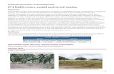 E7.3 Mediterranean wooded pasture and meadow · evergreen open scrub-pastures of the garrigue type in Quercetea ilicis landscapes, interspersed with scattered sclerophyllous, coniferous