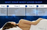 WHY YOUR BODY LOVES SLEEP Stage 1 Easily Awakened Muscles Relax, May Twitch Slow Eye ... 2019. 10. 18.آ 