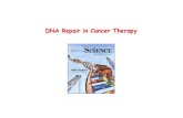 DNA Repair in Cancer Therapy - dnaokulu.files.wordpress.com · One important mechanism by which cancer cells can develop multi-drug resistance is to increase their DNA repair capacity