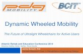 Dynamic Wheeled Mobility · Guiding Framework: Clinical Practice Guidelines (CPGs) for Preservation of Upper Limb Function Following Spinal Cord Injury Usability and the Ultralight