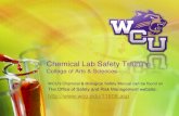 Graduate Student Lab Safety Training - Chem21Labs.com Lab... · 2018. 8. 14. · Long hair shall be tied back Do not wear baggy clothing or loose jewelry ... to stopper to load/ unload