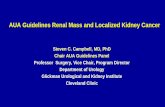 AUA Guidelines Renal Mass and Localized Kidney Cancer€¦ · Principles for PN: Statements 17-18 In patients who elect PN, physicians should prioritize preservation of renal function