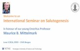 Welcome to an International Seminar on Salutogenesis · 2. To make an official launch of the Handbook salutogenesis • Professor Elisabeth Fosse have given us insight into the first