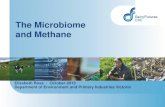 The Microbiome and Methane · You are mostly not human and Cows are mostly not cows . Can we use the rumen metagenome (DNA from the microbiome community) to predict methane emission