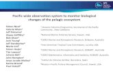 Pacific wide observation system to monitor biological of ... · Pacific wide observation system to monitor biological changes of the pelagic ecosystem Simon Nicol1 Valerie Allain1