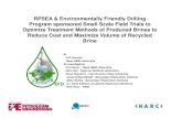 RPSEA & Environmentally Friendly Drilling Program ...dea-global.org/.../2012/01/RPSEA-EFD-Presentation.pdf · RPSEA & Environmentally Friendly Drilling Program sponsored Small Scale