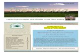 Paynes Prairie Chapter - March 2016 The Rhexiapaynesprairie.fnpschapters.org/data/uploads/newsletters/... · 2020. 8. 3. · Paynes Prairie Chapter of the Florida Native Plant Society