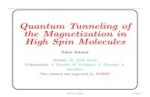 Quantum Tunneling of the Magnetization in High Spin Moleculesmagnetic/students/Zaher/... · 2008. 3. 25. · Most Studied HSM • Fe 8 with ground spin state S = 10. • 6 Fe (S =