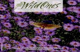 AUTUMN 2019 Journal - Wild Ones Natural Landscapers, Ltd.€¦ · • 1 • Wild Ones Journal • Autumn 2019 • Vol. 32, No. 3 • wildones.org Cover Photo: Marylin Heneghan AUTUMN
