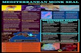 MEDITERRANEAN MONK SEAL - Fiskardo · 2017. 1. 13. · • Η μεσογειακή φώκια (Monachus monachus), είναι το ένα από τα δύο εναπομείναντα
