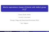 Morita equivalence classes of blocks with defect group (C2)5homepages.vub.ac.be/~abachle/gras2019/slides/Ardito_Slides_GRAS20… · A Morita equivalence preseves the number of ordinary