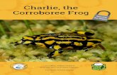 Charlie, the Corroboree Frog - Enviro-Stories · 2018. 2. 19. · 1 Charlie, the Corroboree Frog Authors: Lara Diffey, William Flahive, Rory Hamilton and Olivia Maguire Teacher: Karen