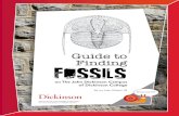 Guide to Finding FOSSILS · Fake Fossils (Pseudo-Fossils) Don’t be tricked by these! While they may look like an old shell or a possible fossil, these are actually fake fossils.