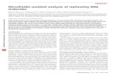 Microﬂuidic-assisted analysis of replicating DNA molecules · Microﬂuidic-assisted analysis of replicating DNA molecules Julia M Sidorova1, Nianzhen Li2,5, David C Schwartz3,