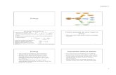 lecture02 - Australian National University€¦ · lecture02.ppt Author: Paul Francis Created Date: 2/22/2011 9:43:36 AM ...