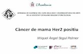 Miquel Àngel Seguí Palmer - academia.cat · Miquel Àngel Seguí Palmer. HER2+ Breast Cancer is characterized by overexpression of HER2 receptors. HER2+ Breast Cancer is characterized