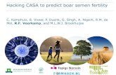 Hacking CASA to predict boar semen fertility...Data CASA System 1: 2006 –2015 System 2: 2016 –now Ejaculate and boar data Fresh ejaculate Storage (fresh) Open source weather data