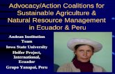 Advocacy/Action Coalitions for Sustainable Agriculture ......Research in Ecuador and Peru • En Peru, focus was on the peasant community; – Lent itself to participatory research;
