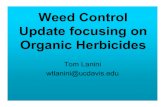 Weed Control Update focusing on Organic Herbicidesccvegcrops.ucanr.edu/files/237052.pdfOrganic Herbicides Registered as Organic ¥C-Cide ¥Green Match ¥Matran EC ¥Acetic Acid ¥Weed